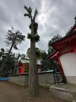 小野神社(東京都)