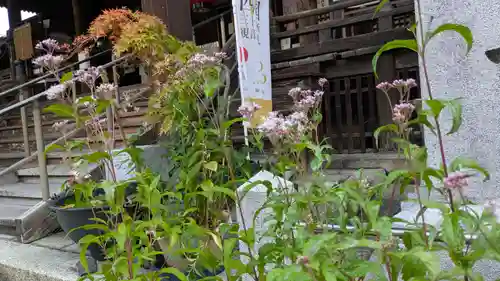 行願寺（革堂）(京都府)