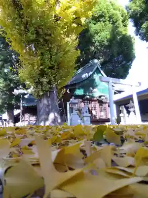 金山神社(愛知県)