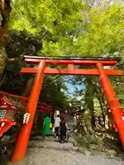 貴船神社(京都府)