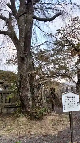 妙徳寺のその他建物