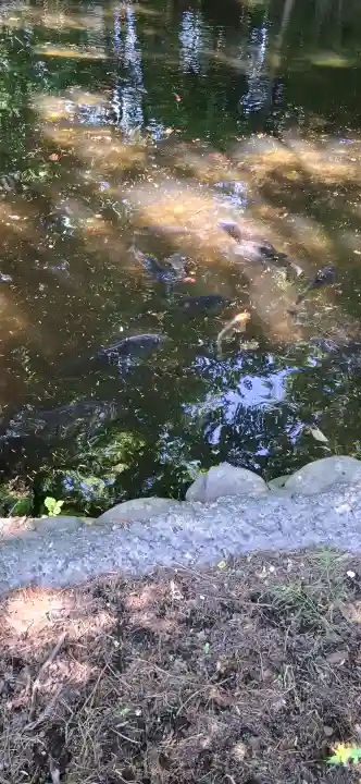 白石神社(北海道)