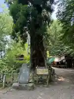 天龍寺(埼玉県)