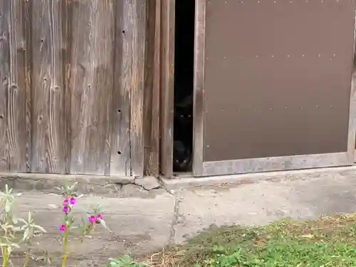 妙顕寺のその他建物