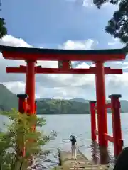 箱根神社の鳥居