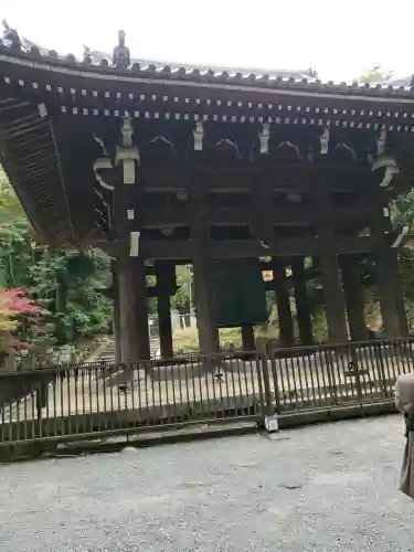 知恩院の{uncategorized: "未分類", other: "その他", undefined: "問題あり", building: "その他建物", grave: "お墓", sacred_gate: "鳥居", guardian: "狛犬", statue: "像", buddha: "仏像", history: "歴史", nature: "自然", garden: "庭園", animal: "動物", pagoda: "塔", temizu: "手水舎", mountain_gate: "山門・神門", sanctuary: "本殿・本堂", subordinate: "末社・摂社", art: "芸術", scenery: "景色", jizo: "地蔵", ema: "絵馬", goshuin: "御朱印", omikuji: "おみくじ", items: "授与品その他", amulet: "お守り", goshuincho: "御朱印帳", eats: "食事", festival: "お祭り", votive_dance: "神楽", shichigosan: "七五三参", wedding: "結婚式", experience: "体験その他", initially: "初詣", around: "周辺", anti_infection: "感染症対策"}