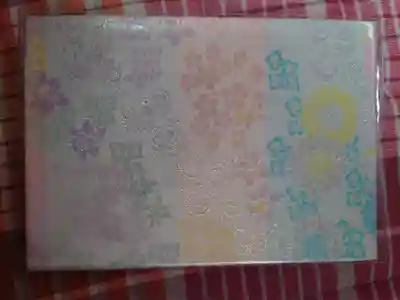 御朱印帳がキレイだったので思わず購入。他にパープル色もあり、最後まで迷いました。