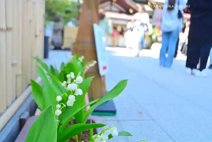 東京大神宮(東京都)