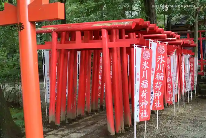武蔵一宮氷川神社の鳥居