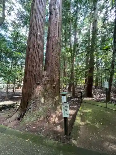 若狭彦神社（上社）(福井県)