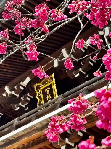 宮地嶽神社(福岡県)