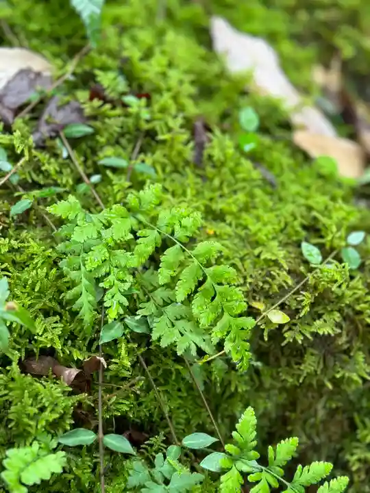 伊奈波神社(岐阜県)