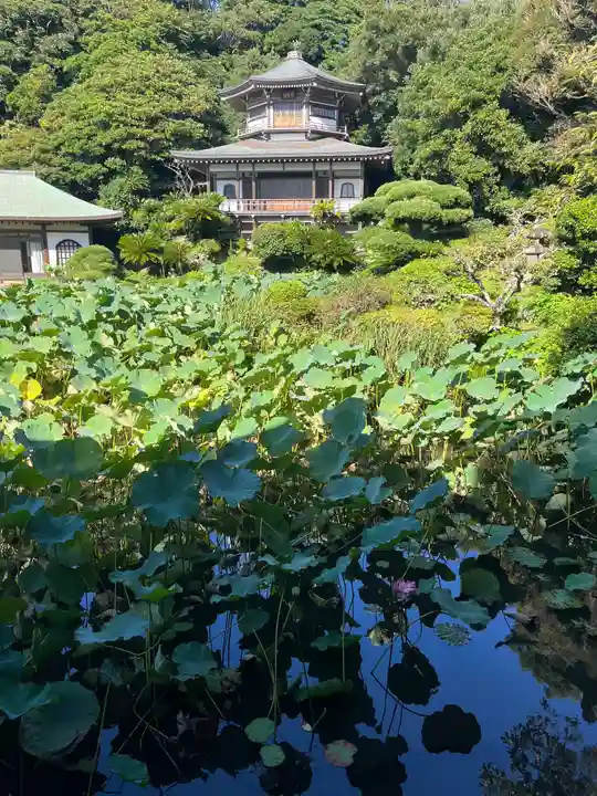 光明寺のその他建物