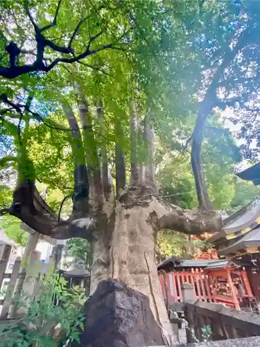 満足稲荷神社の自然