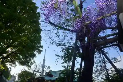 亀戸天神社のその他建物