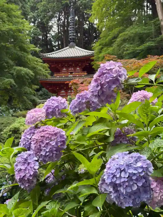 岩船寺(京都府)