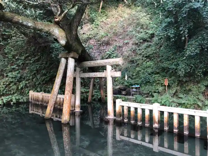 鹿島神宮の鳥居