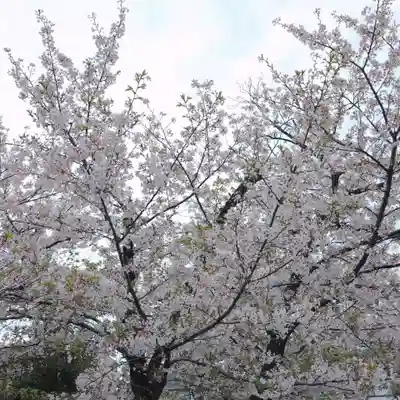 諏訪神社(東京都)