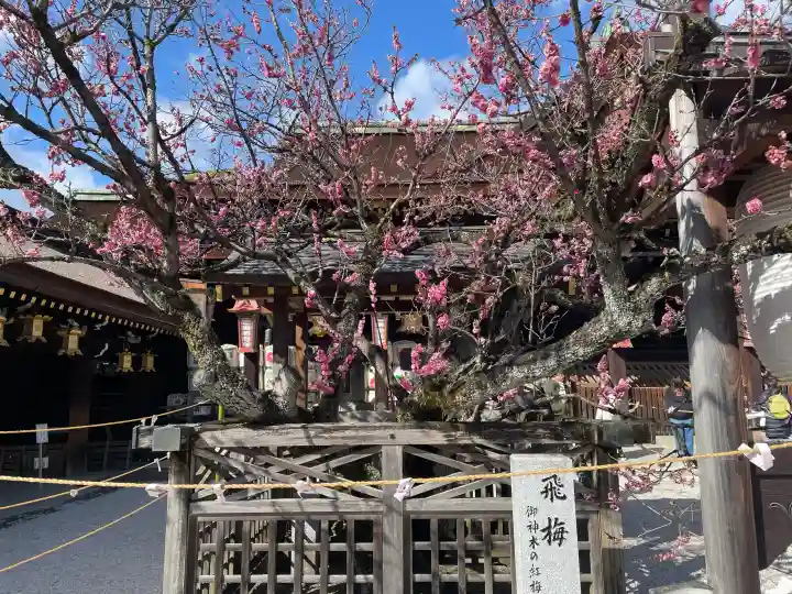 北野天満宮の{uncategorized: "未分類", other: "その他", undefined: "問題あり", building: "その他建物", grave: "お墓", sacred_gate: "鳥居", guardian: "狛犬", statue: "像", buddha: "仏像", history: "歴史", nature: "自然", garden: "庭園", animal: "動物", pagoda: "塔", temizu: "手水舎", mountain_gate: "山門・神門", sanctuary: "本殿・本堂", subordinate: "末社・摂社", art: "芸術", scenery: "景色", jizo: "地蔵", ema: "絵馬", goshuin: "御朱印", omikuji: "おみくじ", items: "授与品その他", amulet: "お守り", goshuincho: "御朱印帳", eats: "食事", festival: "お祭り", votive_dance: "神楽", shichigosan: "七五三参", wedding: "結婚式", experience: "体験その他", initially: "初詣", around: "周辺", anti_infection: "感染症対策"}