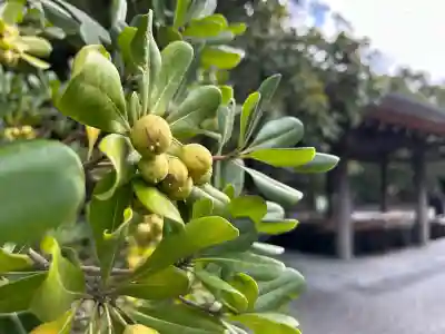 伊勢神宮外宮（豊受大神宮）(三重県)