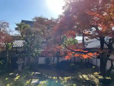 仁和寺(京都府)