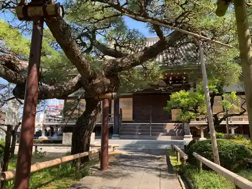 正定聚院等覚寺(茨城県)