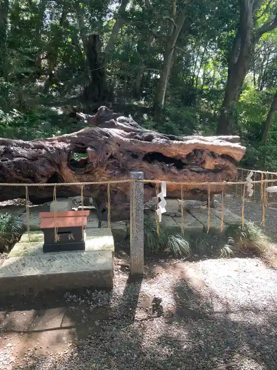 泉神社(茨城県)