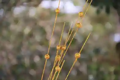 大鏑神社の手水舎