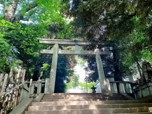 渋谷氷川神社(東京都)