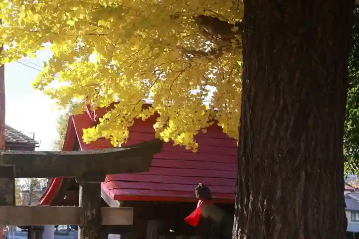 晴門田神社の景色