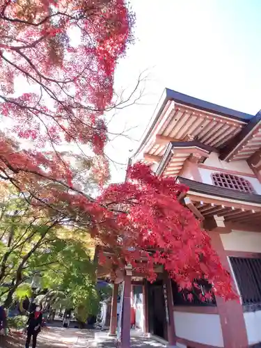 永源寺のその他建物
