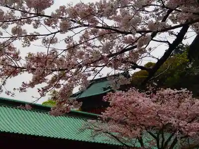 静岡浅間神社の本殿・本堂