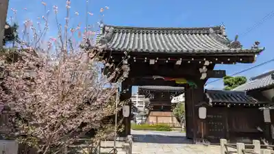 妙蓮寺の山門・神門