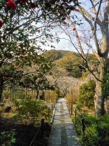 瑞泉寺の庭園