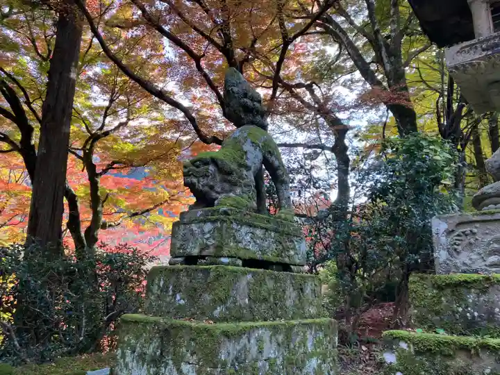 鰐淵寺(島根県)