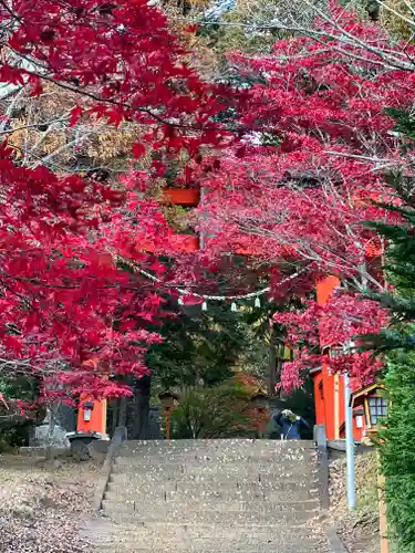 新倉富士浅間神社の自然