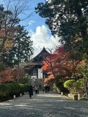 園城寺（三井寺）(滋賀県)