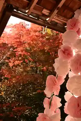 常照寺(京都府)