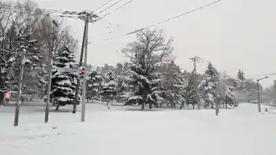 上川神社の景色
