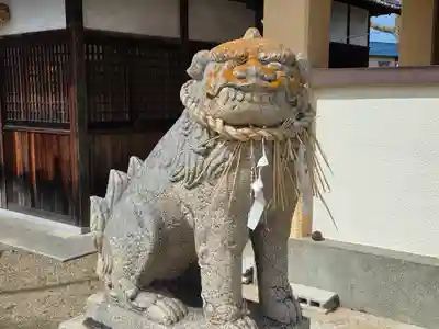 崎宮神社の狛犬