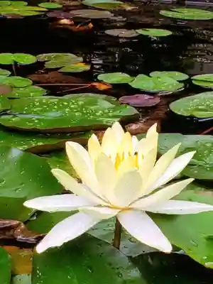 福泉寺(東京都)
