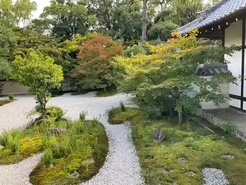 廬山寺（廬山天台講寺）(京都府)