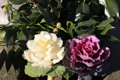 熊野福藏神社の手水舎