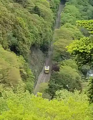 高尾山薬王院の周辺