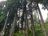 大宮温泉神社(栃木県)