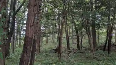十勝神社の自然