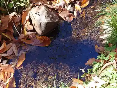 戸隠神社九頭龍社(長野県)