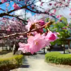 滑川神社 - 仕事と子どもの守り神の自然