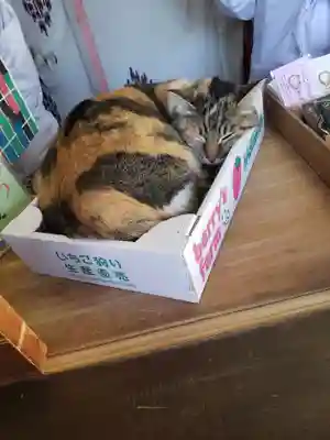 前玉神社の動物