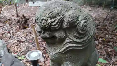 菊田神社の狛犬